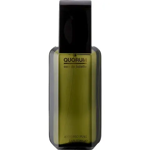 Puig Quorum Eau de Toilette 100ml EDT Spray – image 1