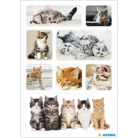 HERMA Aufkleber Katzen – Bild 1