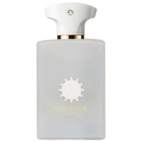 AMOUAGE DECISION EPV 100ML 100 ml – image 1