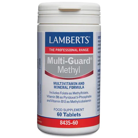 Lamberts Multi-Guard Methyl 60 Kapseln – Bild 1