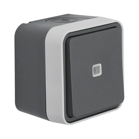 BERKER 30763525 - Toggle switch illuminated AP W.1 grey – image 1