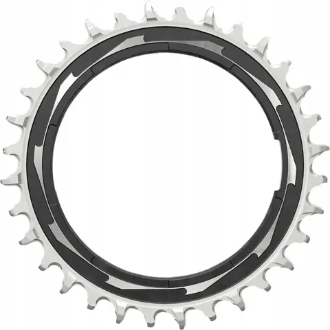 Sram Chainring T-type Eagle Powermeter Silver - UNI – 888335 – afbeelding 1