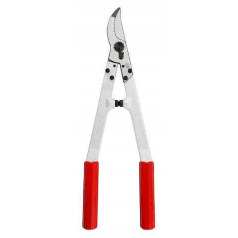 Felco 20 Astschere) – Bild 1