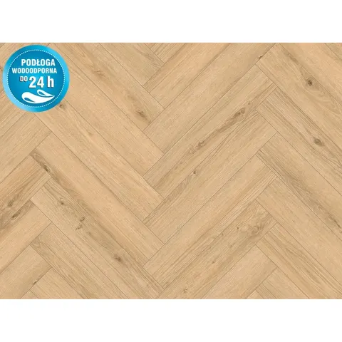 Classen Panel podłogowy Dab Cetina 8 mm AC 5 FV – zdjęcie 1