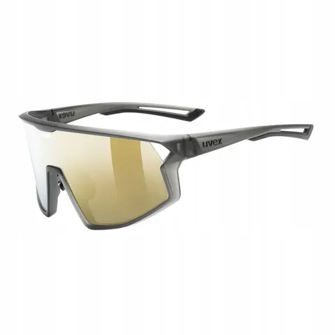 Lunettes Uvex Skyryse – Gris – image 1