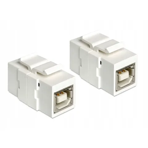 Delock - Keystone Modul USB 2.0 B Buchse - USB 2.0 B Buchse – afbeelding 1