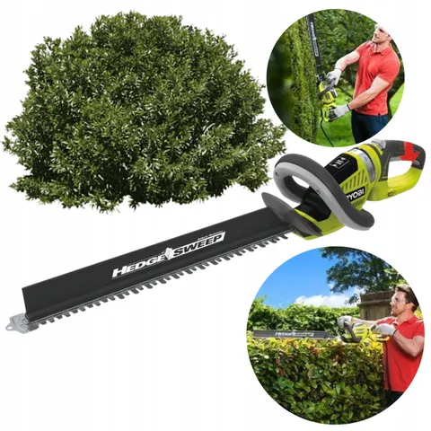 Taille-haies électrique RYOBI 650W - RHT6760RL – image 1