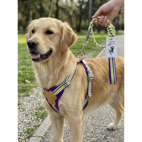 Dog Leash Length, Width, Thickness, 193G – image 1