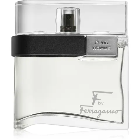 Ferragamo F by Ferragamo EDT M 100 ml – image 1
