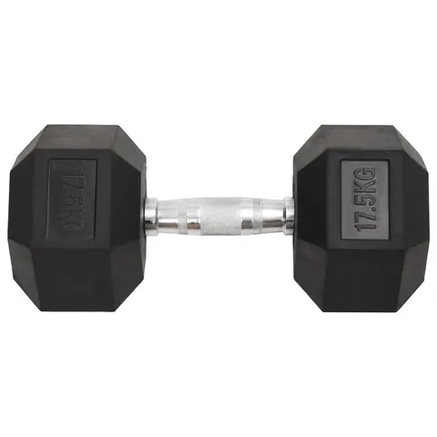 vidaXL Hantel, 17,5 kg, żeliwo – zdjęcie 1