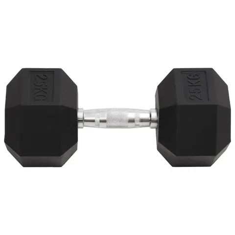 Hantel, 25 kg, żeliwo vidaXL – zdjęcie 1