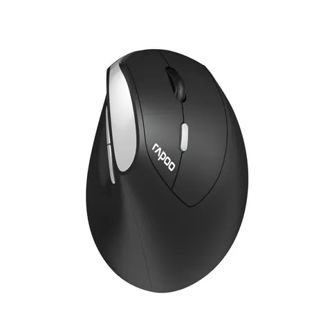 RAPOO EV250 SW - Mouse, wireless, vertical, black – image 1