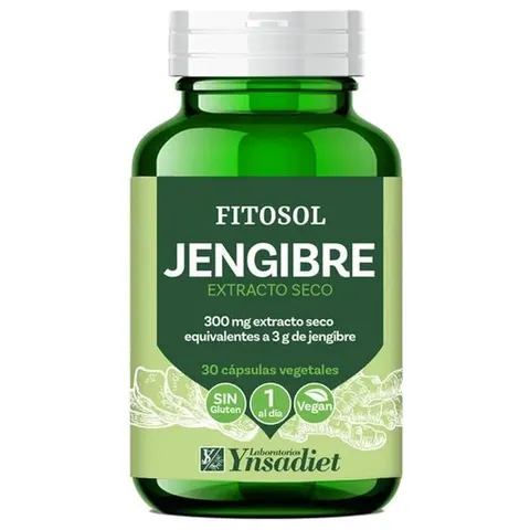 Ynsadiet ZENTRUM JENGIBRE 30 VCaps – imagen 1