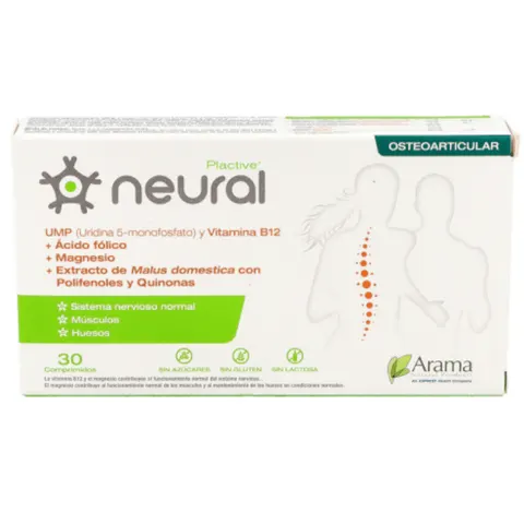 Arama neural 30comp. - arama – imagen 1