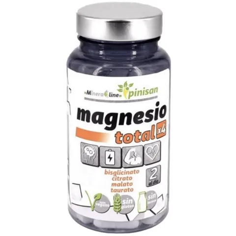 Pinisan Magnesio Total x4 50 Comprimidos – imagen 1