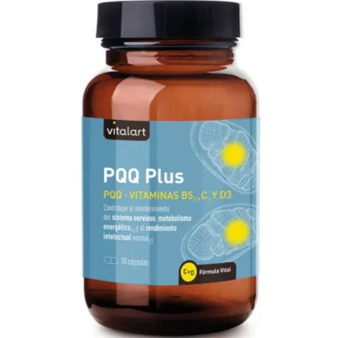 Vitalart PQQ Plus 30 Cápsulas – imagen 1