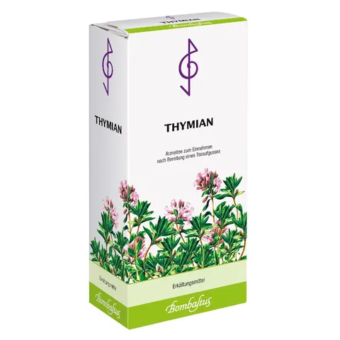 Thymian Bombastus – 014155 – Bild 1