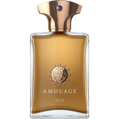 Amouage Dia Man - 100 ML – immagine 1
