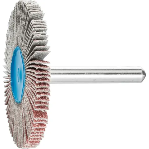PFERD TOOLS 44418066 Fächerschleifer Durchmesser 50 mm 10 St. – Bild 1