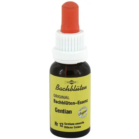 Bachblüten Murnauer Tropfen Gentian – Bild 1