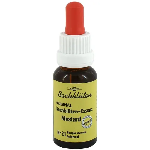 Bachblüten Murnauer Mustard Tropfen – Bild 1