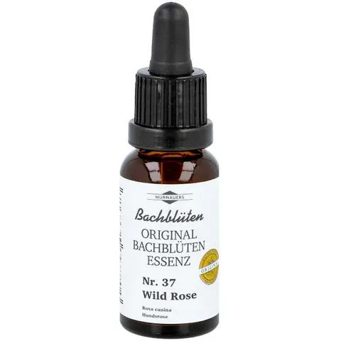 Bachblüten Murnauer Tropfen Wild Rose – Bild 1