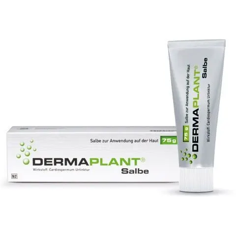 Dermaplant Salbe – Bild 1