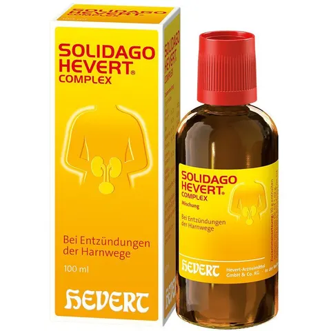 Solidago Hevert Complex Tropfen – Bild 1