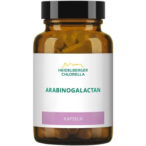 Arabinogalactan Pulver – Bild 1