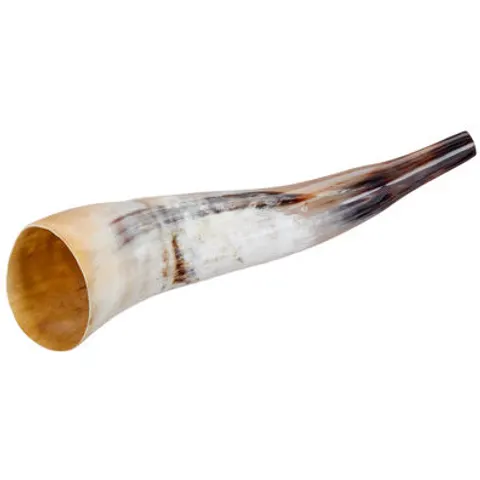Thomann Cow Horn polished – image 1