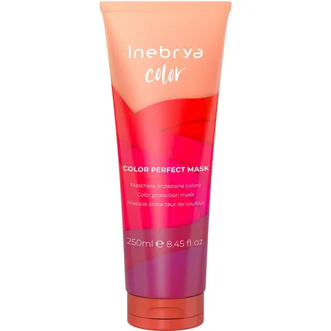 Inebrya Color Perfect Mask 250 ml – image 1