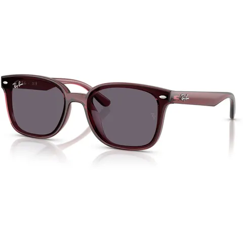 Ray-Ban 4461D (659373) – immagine 1