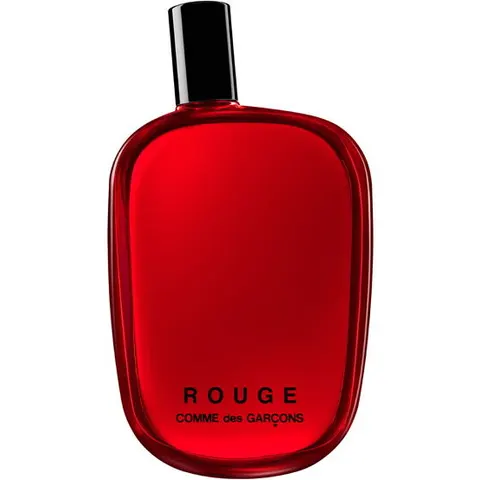 rouge edp 100ml – immagine 1