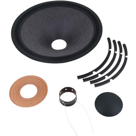 EV M 15 L Recone – imagen 1
