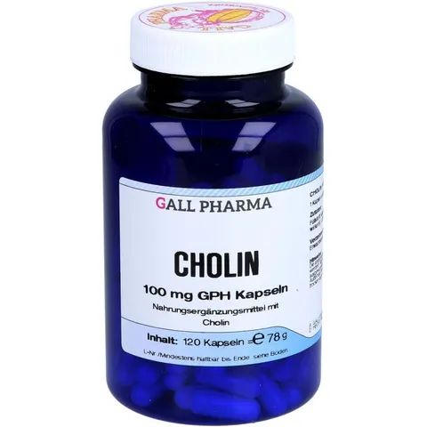 GALL PHARMA Cholin 100 mg GPH Kapseln 120 St – Bild 1