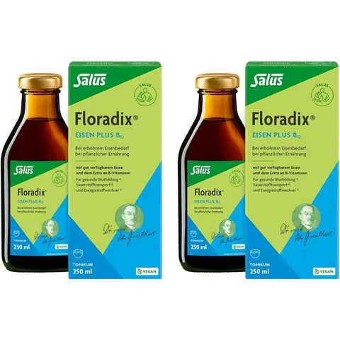 Floradix Eisen Plus B12 vegan Tonikum – Bild 1