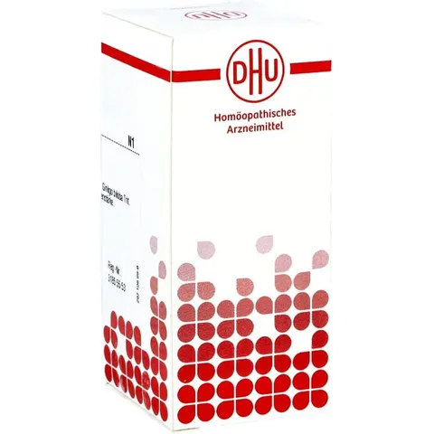 DHU Ginkgo Biloba D6 Tabletten – Bild 1