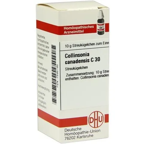 DHU Collinsonia Canadensis C30 Globuli – Bild 1