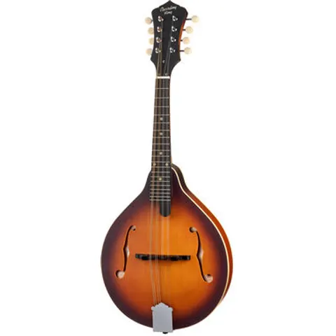 Recording King RAM-3-TS Mandoline – image 1