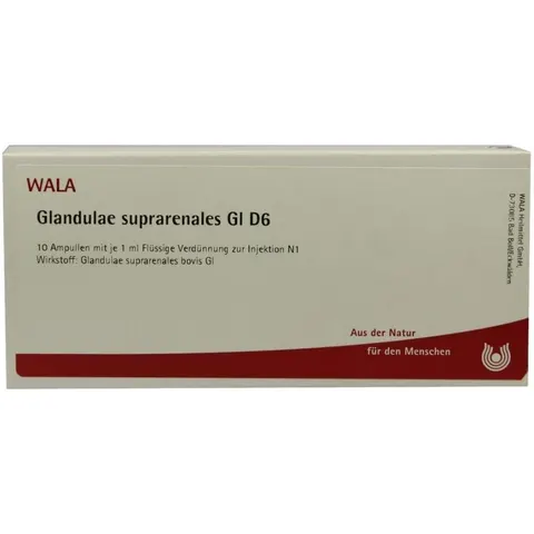 Wala Glandulae Supraren. Gl D6 Ampullen – Bild 1