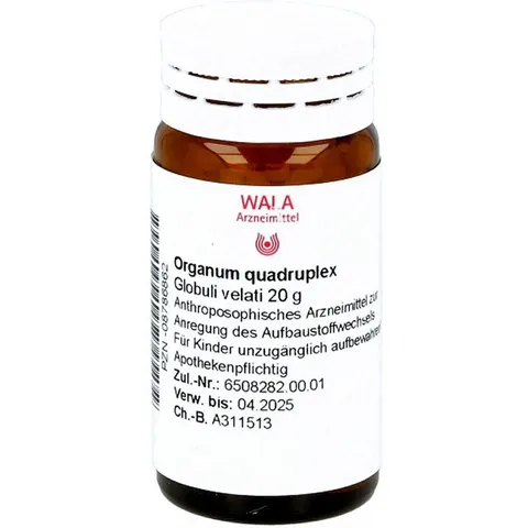 Wala Organum Quadruplex Globuli – Bild 1