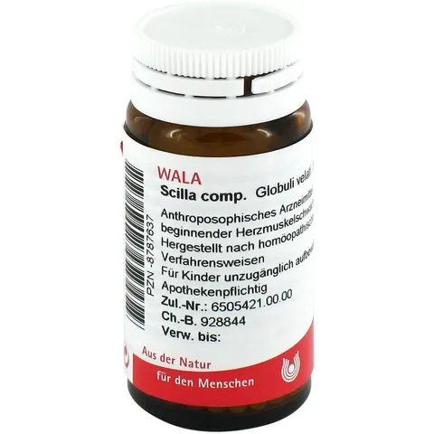 Wala Scilla Comp. Globuli – Bild 1