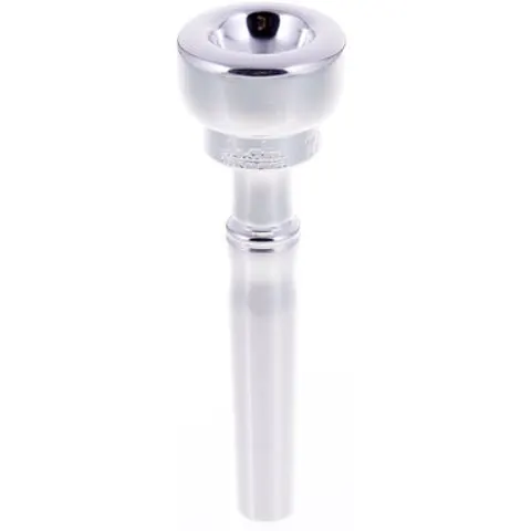 Austin Custom Brass Trumpet Standard TA- Lead – image 1