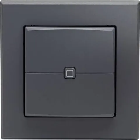 Homematic IP Wandtaster HmIP-WRC2-A-2 – Bild 1