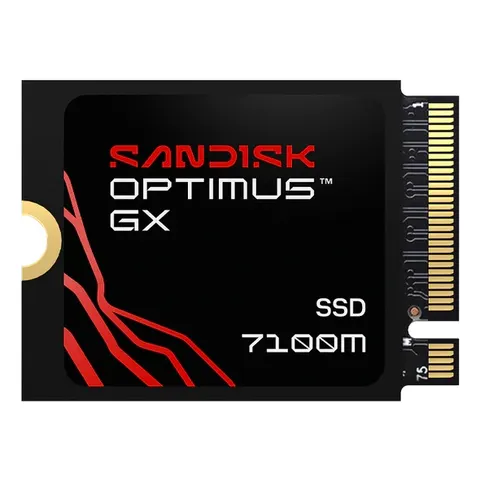 SanDisk Optimus GX 7100M – Bild 1