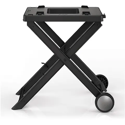 Ninja Woodfire Electric BBQ Stand – image 1
