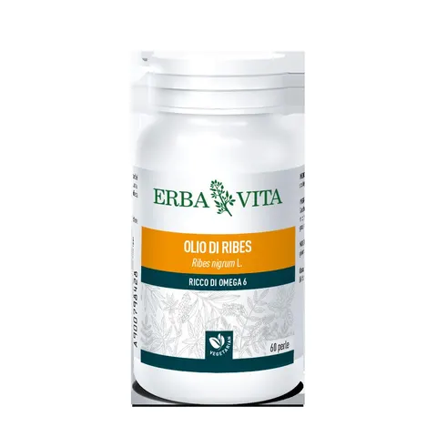 Erba Vita Olio ribes 60 perle ebv – immagine 1