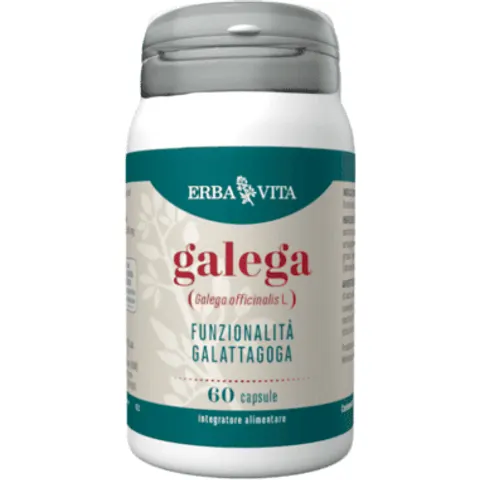 Erba Vita Galega 60Cps – immagine 1
