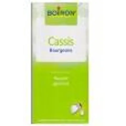 Boiron Cassis Bourgeons 60 ml - Flacon 60 ml – image 1