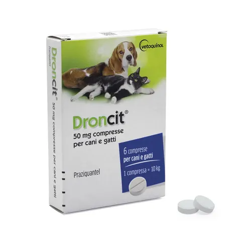 droncit X 6 Compresse Vet – immagine 1